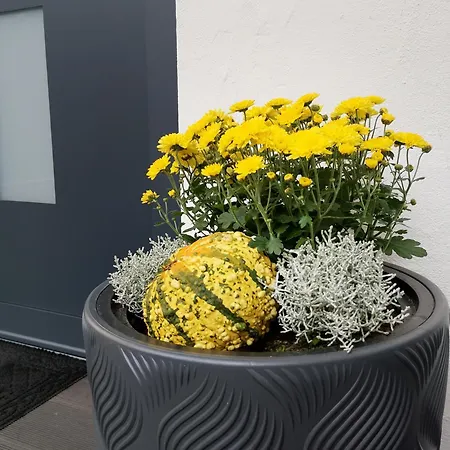 Marcushof Bad Wörishofen